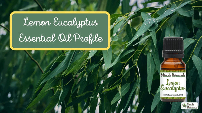 Lemon Eucalyptus essential oil bottle in front of long eucalyptus leaves, with text: Lemon Eucalyptus Essential Oil Profile