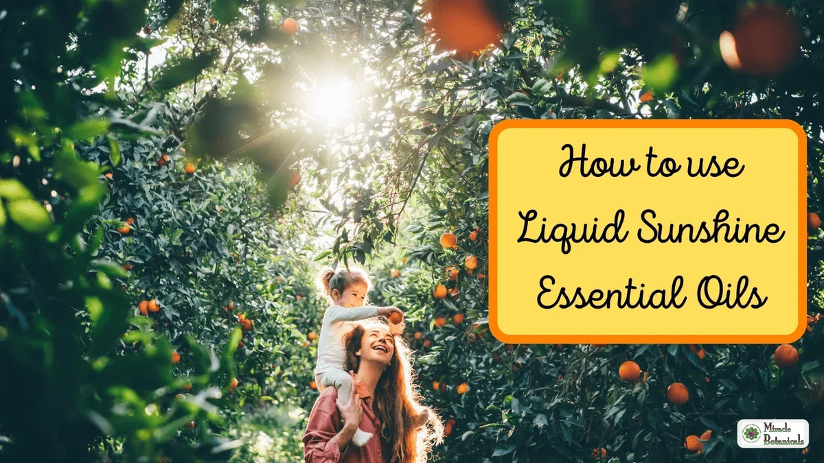 Woman carrying a young girl on her shoulders in a sunlit orange grove, with text: How to use Liquid Sunshine Essential Oils