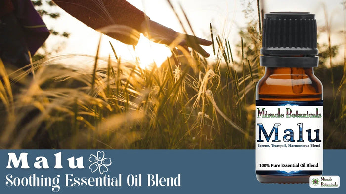 Hand brushing tall grass at sunset beside a Malu Serene, Tranquil, Harmonious Blend bottle, with text: Malu Soothing Essential Oil Blend