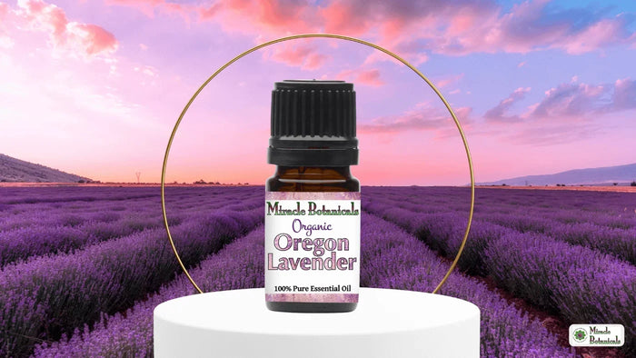 Organic Oregon Lavender essential oil bottle on a white pedestal in front of a lavender field under a pink-purple sky