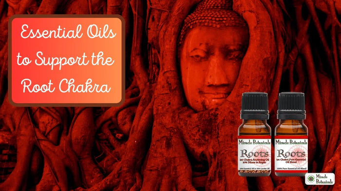 Roots anointing oil and Roots blend bottles before a red-tinted Buddha head in tree roots, with text: Essential Oils to Support the Root Chakra
