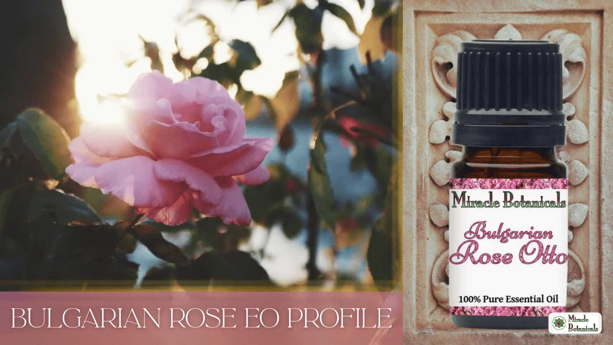 Bulgarian Rose Otto essential oil bottle beside a pink rose and carved stone, with text: Bulgarian Rose EO Profile