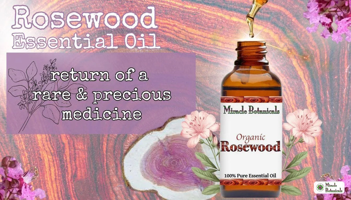 Organic Rosewood essential oil bottle with dropper and pink blossoms on wood grain, with text: return of a rare & precious medicine
