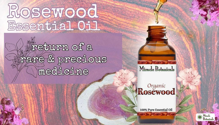 Organic Rosewood essential oil bottle with dropper and pink blossoms on wood grain, with text: return of a rare & precious medicine