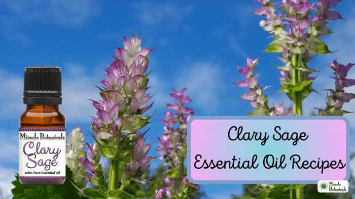 Clary Sage essential oil bottle beside flowering clary sage under a blue sky, with text: Clary Sage Essential Oil Recipes