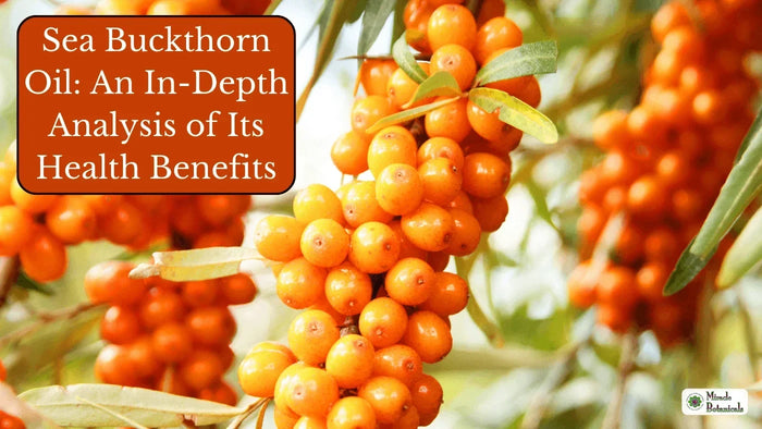 Clusters of orange sea buckthorn berries on the branch, with text: Sea Buckthorn Oil: An In-Depth Analysis of Its Health Benefits
