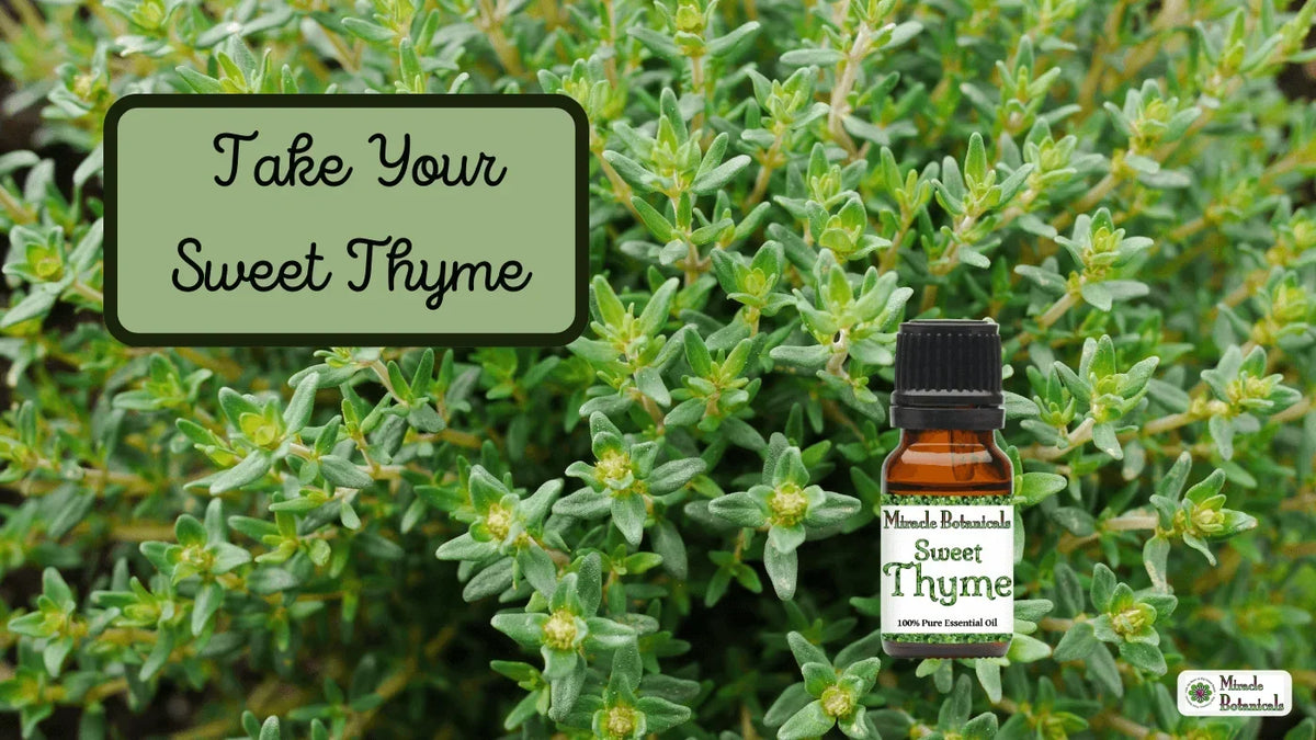 Sweet Thyme essential oil bottle among fresh thyme sprigs, with text: Take Your Sweet Thyme