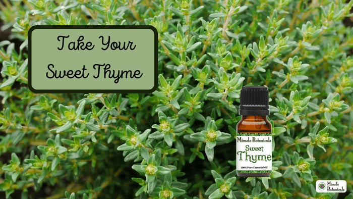 Sweet Thyme essential oil bottle among fresh thyme sprigs, with text: Take Your Sweet Thyme