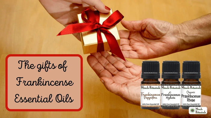 Hands passing a gift box beside Frankincense Papyrifera, Neglecta and Organic Rivae bottles, with text: The gifts of Frankincense Essential Oils