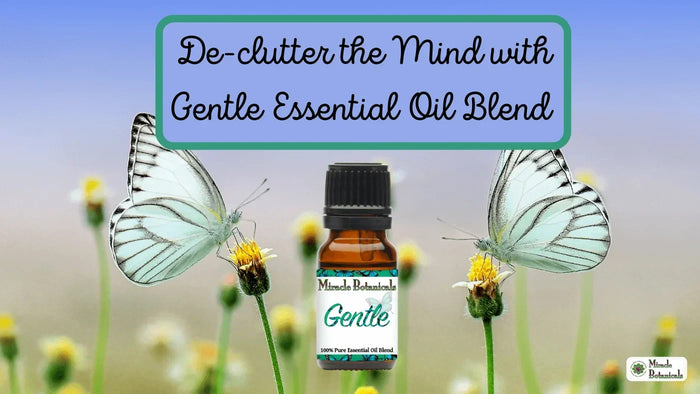 Gentle blend bottle between two white butterflies on wildflowers, with text: De-clutter the Mind with Gentle Essential Oil Blend