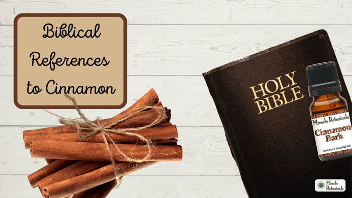 Cinnamon Bark essential oil bottle beside a Holy Bible and tied cinnamon sticks, with text: Biblical References to Cinnamon