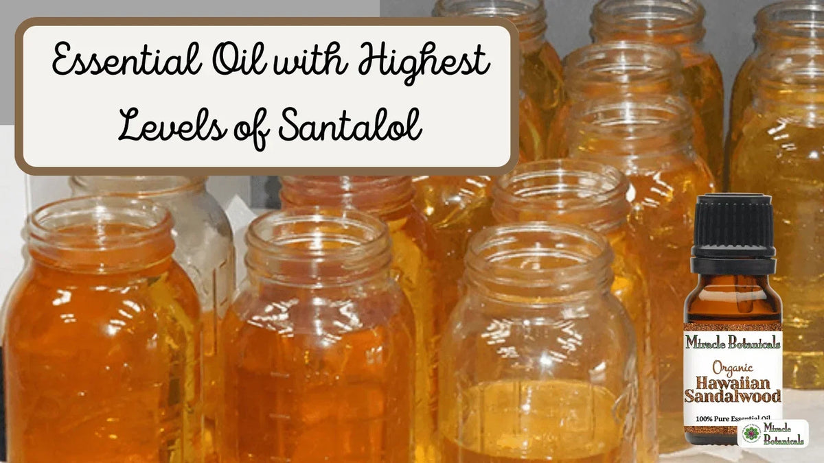 Organic Hawaiian Sandalwood bottle in front of jars of golden oil, with text: Essential Oil with Highest Levels of Santalol