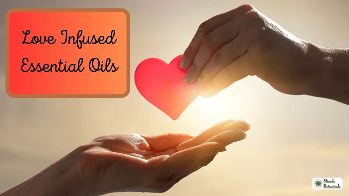 Hand passing a red paper heart into an open hand against sunlight, with text: Love Infused Essential Oils