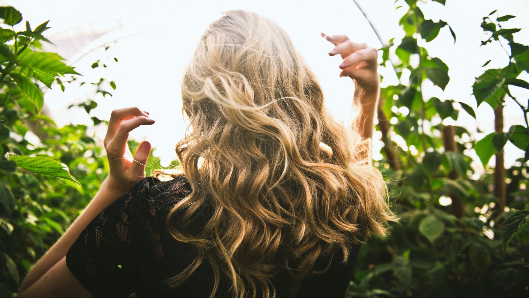 Hair Formulas - Miracle Botanicals Essential Oils