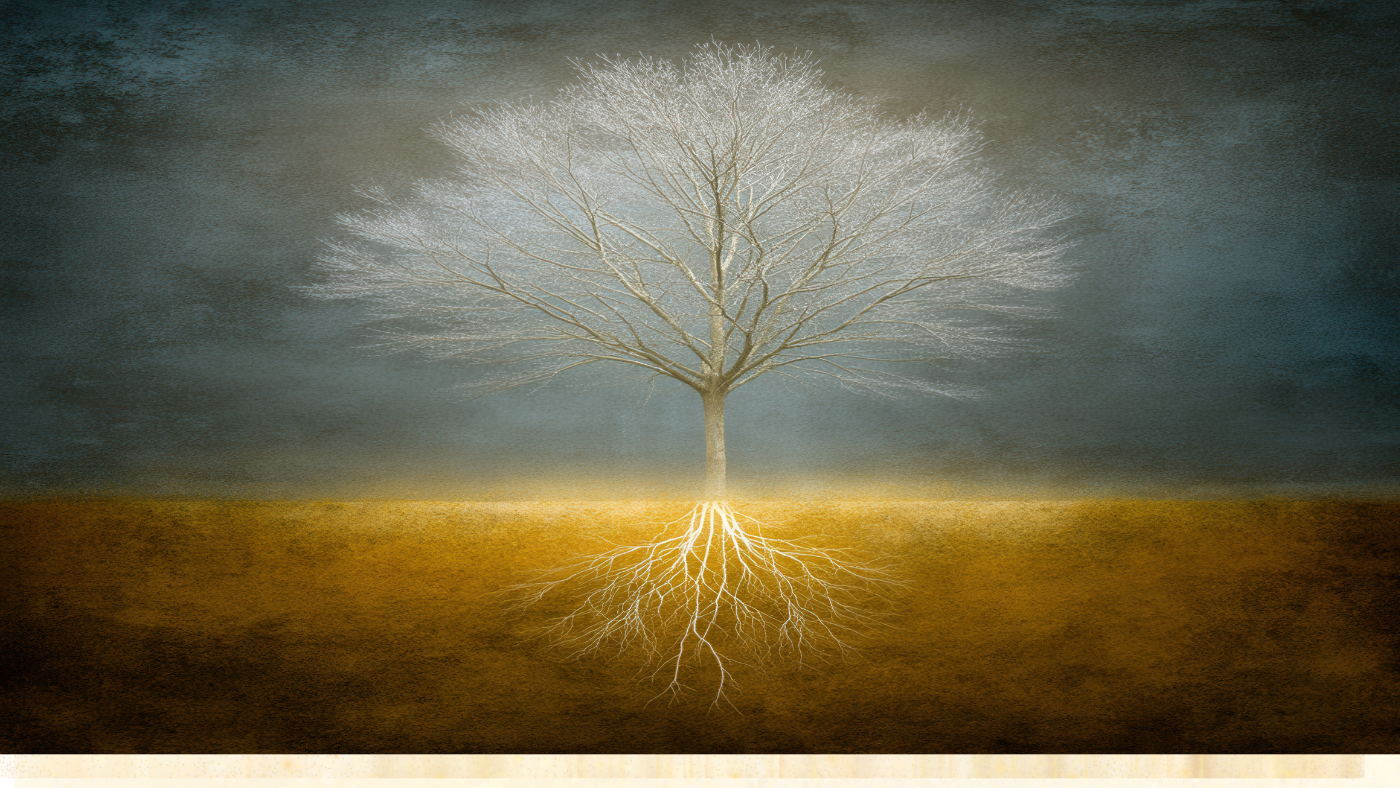 Purify & Ground