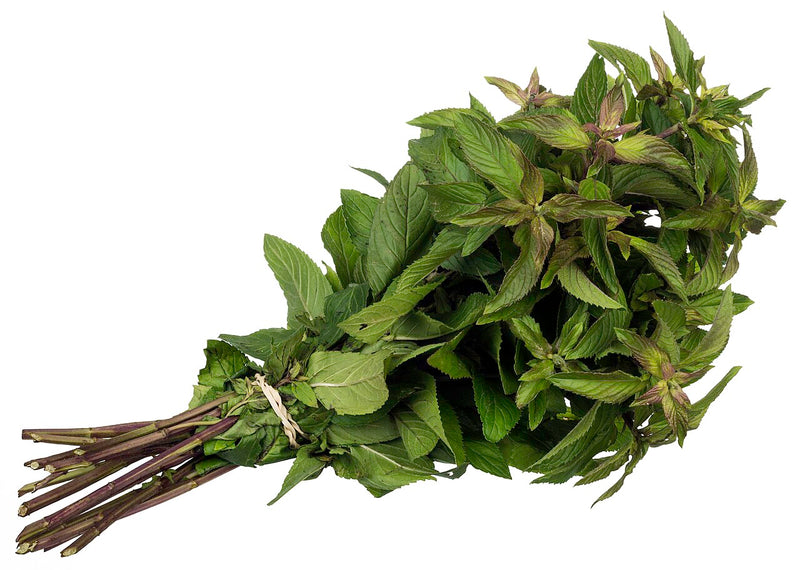 Peppermint (Organic) Hydrosol (Mentha Piperita