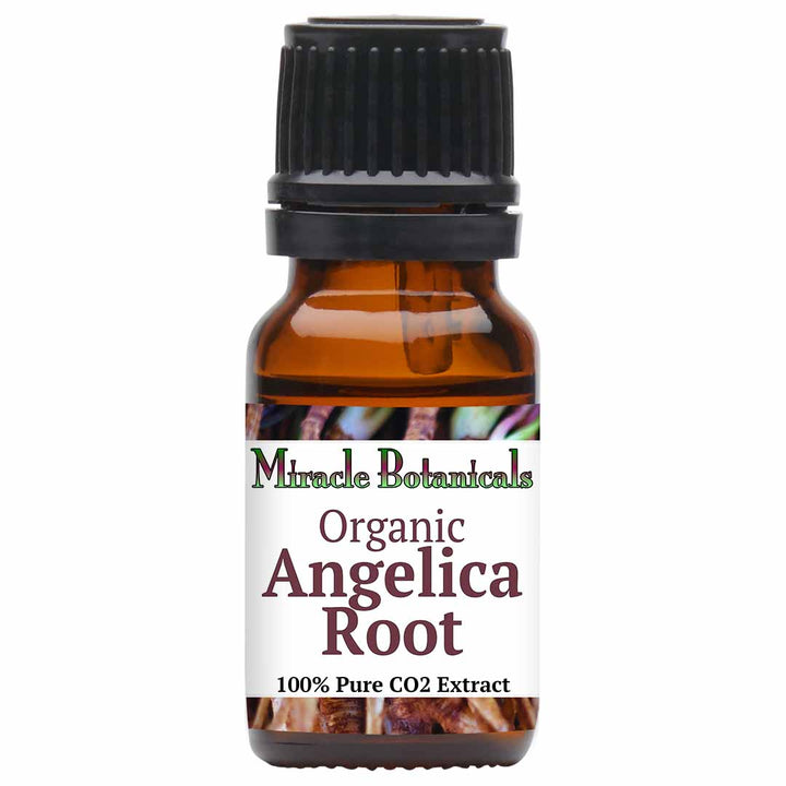 Angelica Root Essential Oil - Organic - CO2 Extracted (Angelica Archangelica)