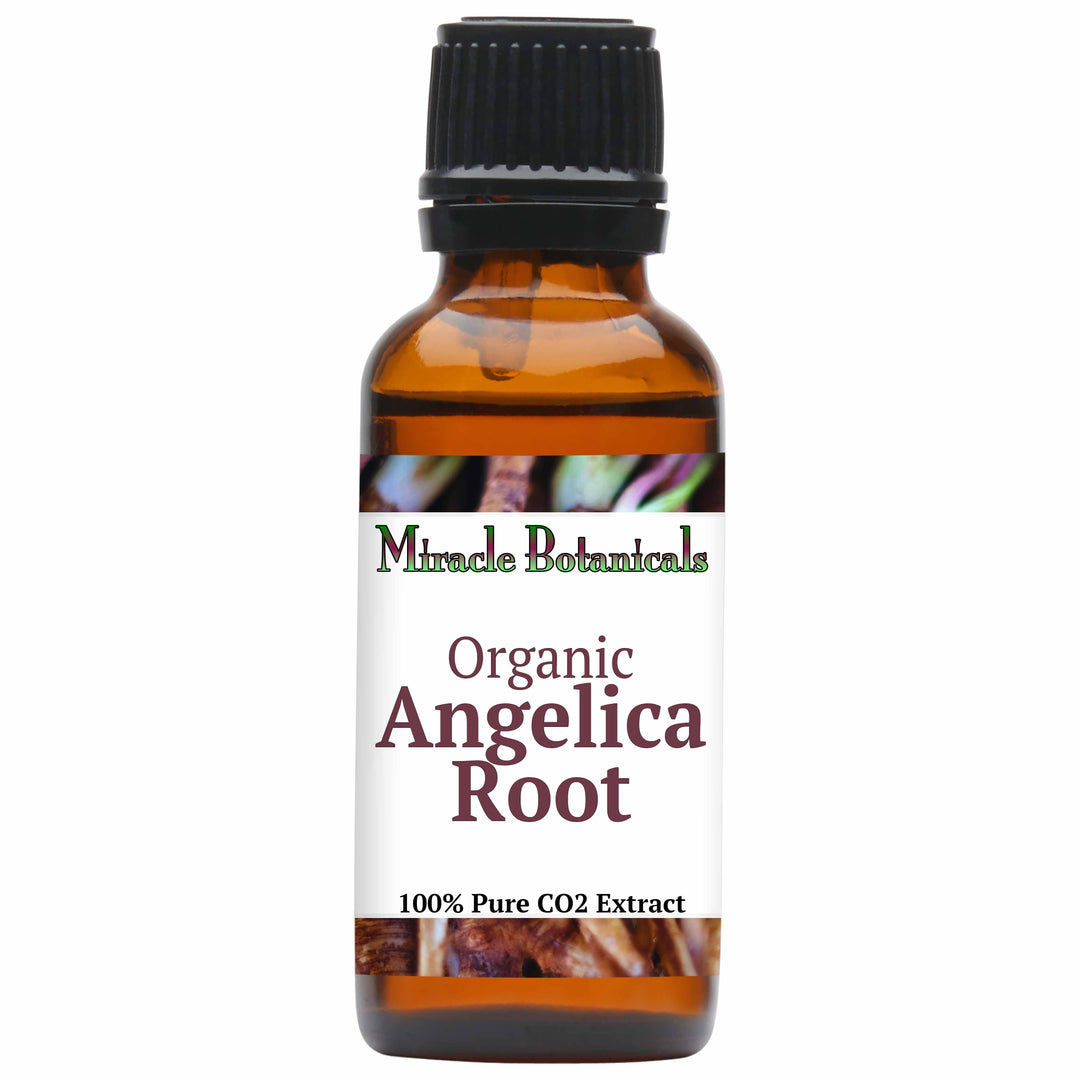 Angelica Root Essential Oil - Organic - CO2 Extracted (Angelica Archangelica)