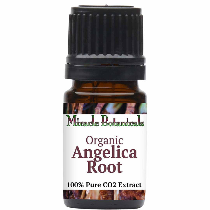 Angelica Root Essential Oil - Organic - CO2 Extracted (Angelica Archangelica)