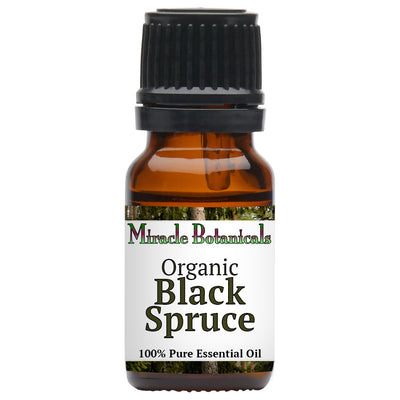 Black Spruce Essential Oil - Organic (Picea Mariana)