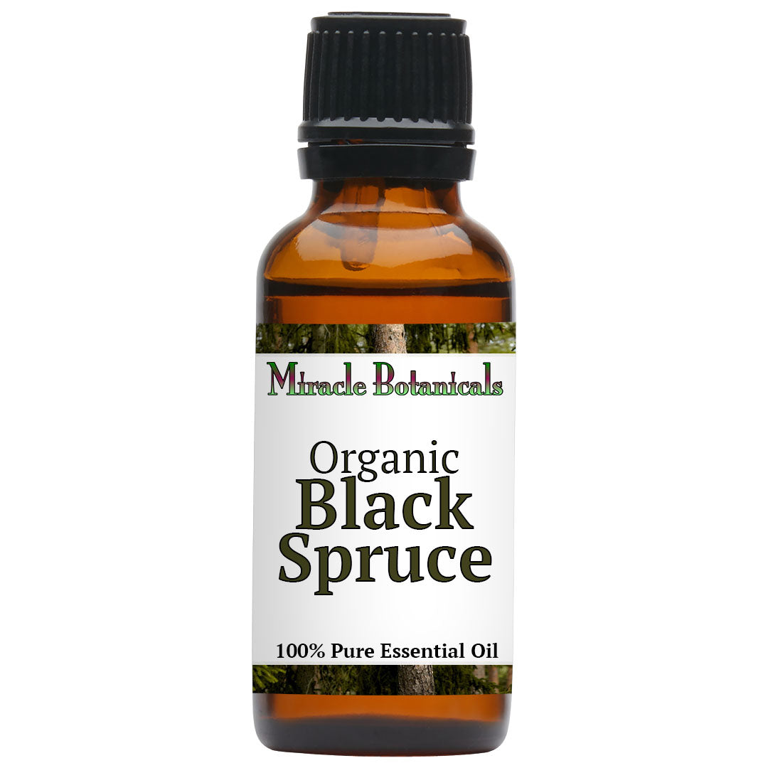 Black Spruce Essential Oil - Organic (Picea Mariana)