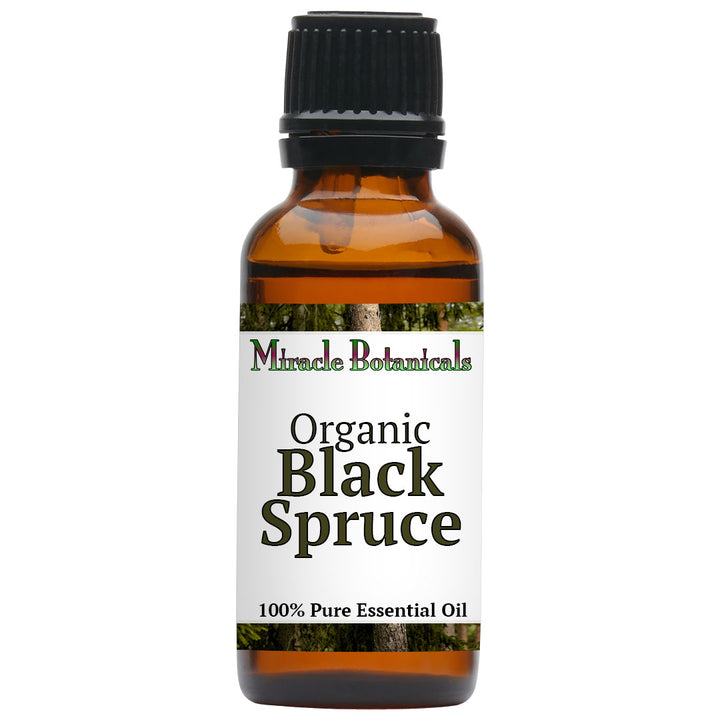 Black Spruce Essential Oil - Organic (Picea Mariana)
