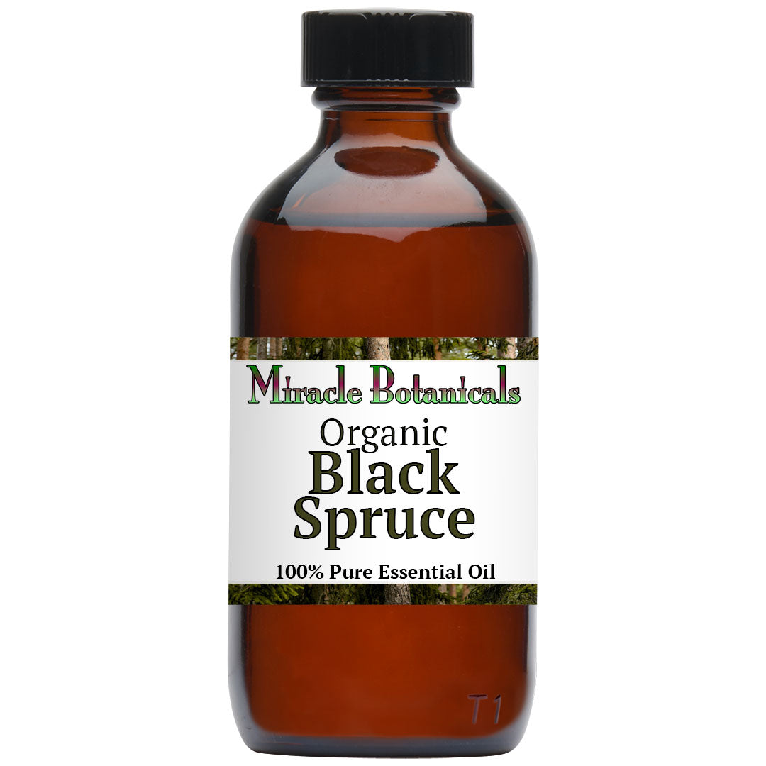 Black Spruce Essential Oil - Organic (Picea Mariana)