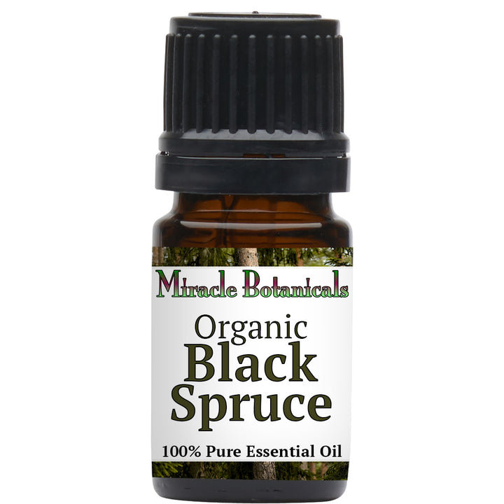 Black Spruce Essential Oil - Organic (Picea Mariana)