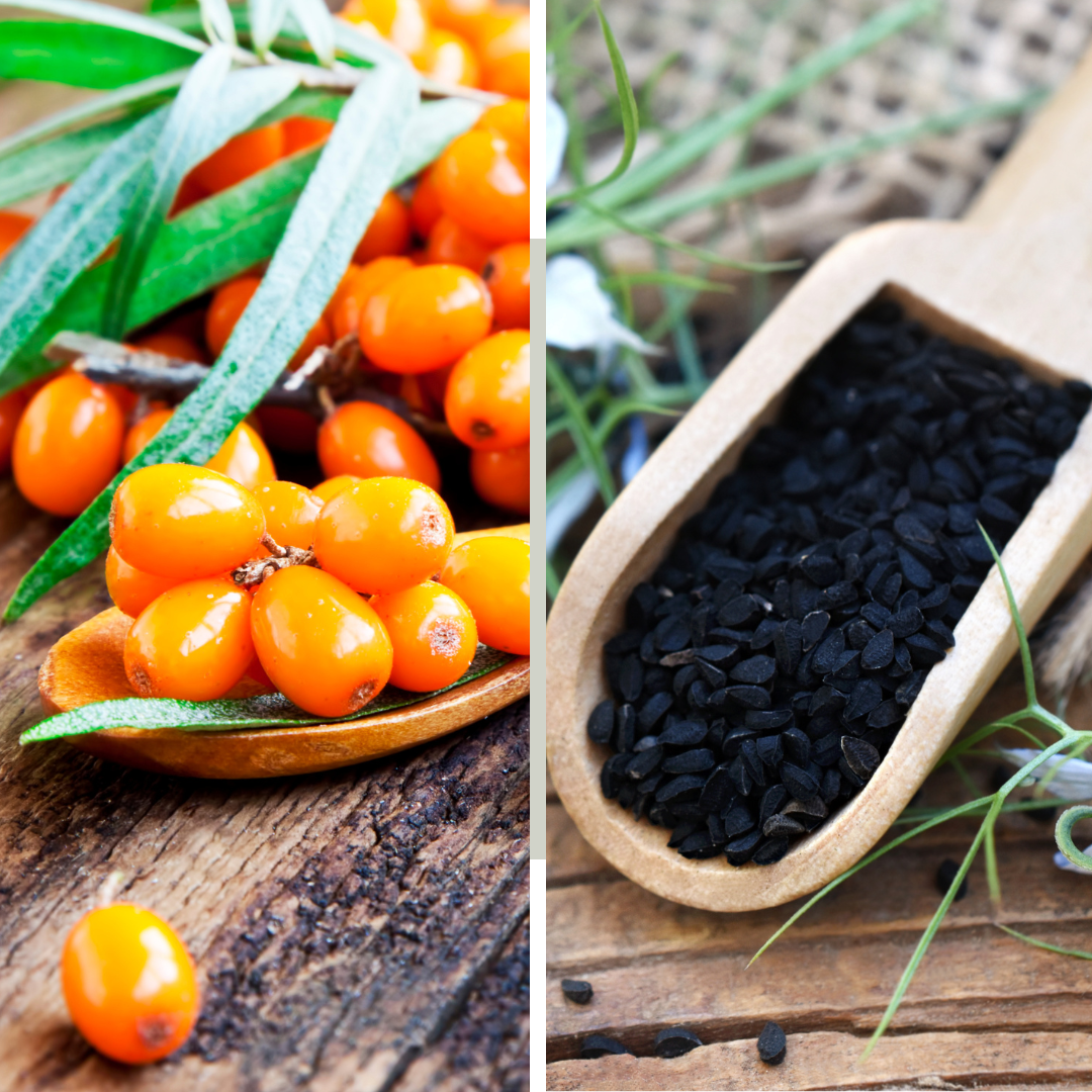 Sea Buckthorn Seed - CO2 Total Extract (Hippophae Rhamnoides)