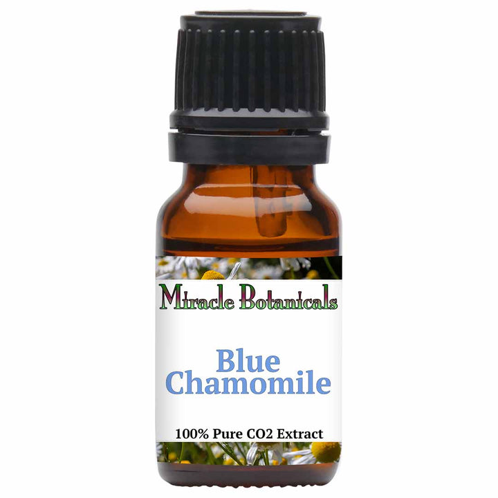 Chamomile (Blue) Essential Oil - CO2 Extracted German Chamomile (Matricaria Chamomilla)