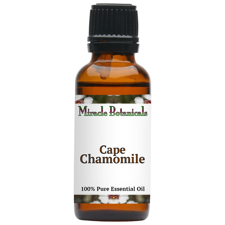 Chamomile (Cape) Essential Oil - (Eriocephalus Punctulatus)