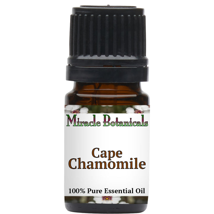 Chamomile (Cape) Essential Oil - (Eriocephalus Punctulatus)