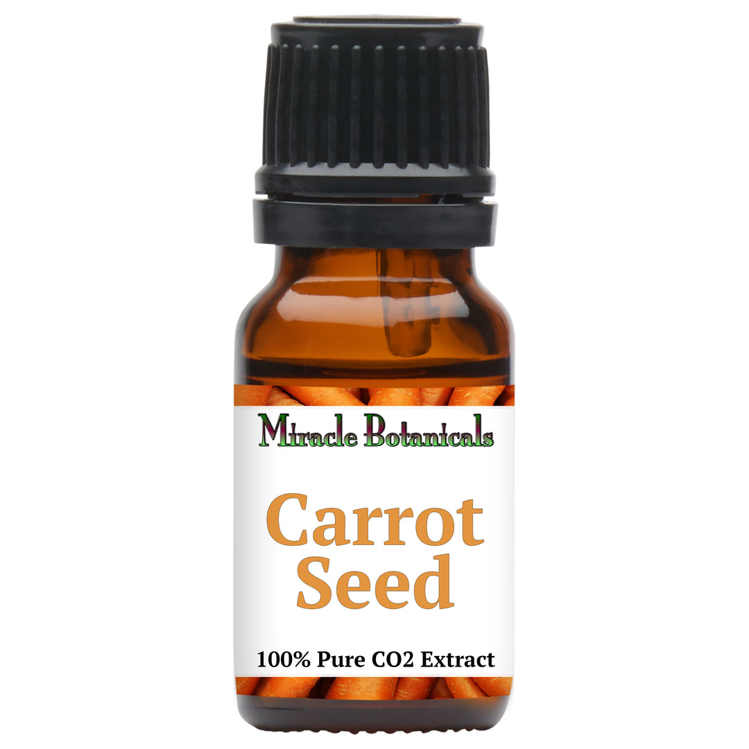 Carrot Seed Essential Oil - CO2 Extracted (Daucus Carota) - Miracle Botanicals Essential Oils