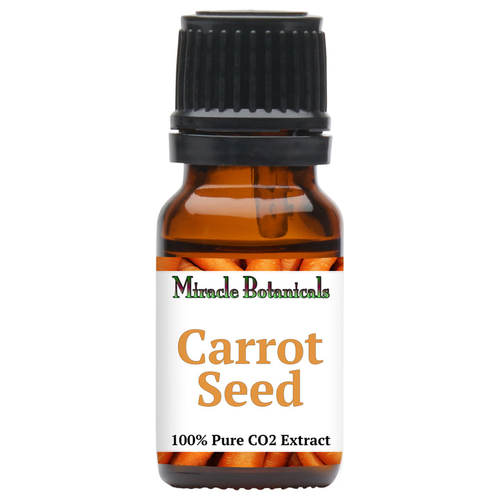 Carrot Seed Essential Oil - CO2 Extracted (Daucus Carota)