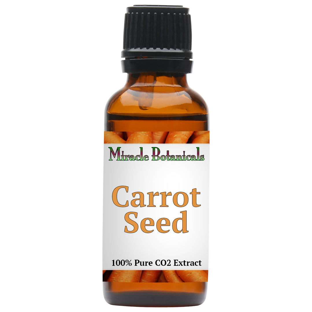 Carrot Seed Essential Oil - CO2 Extracted (Daucus Carota) - Miracle Botanicals Essential Oils