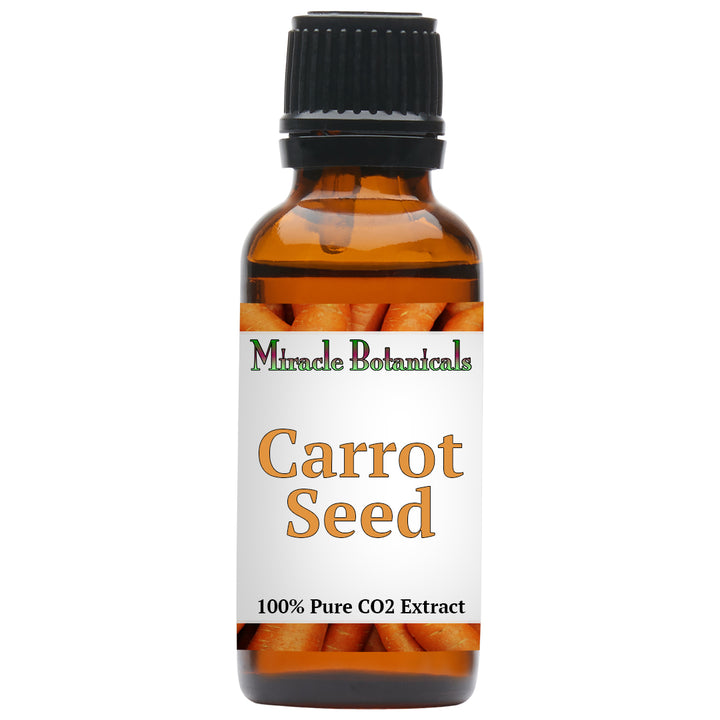 Carrot Seed Essential Oil - CO2 Extracted (Daucus Carota) - Miracle Botanicals Essential Oils