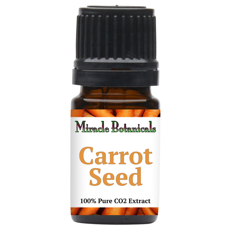 Carrot Seed Essential Oil - CO2 Extracted (Daucus Carota) - Miracle Botanicals Essential Oils
