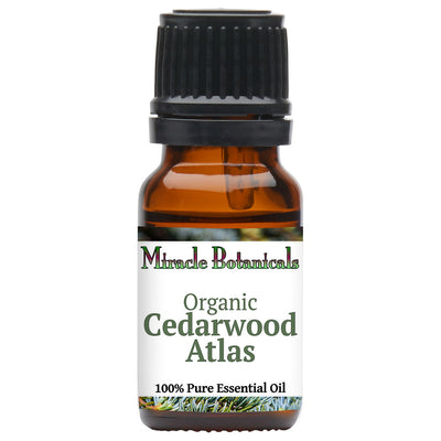 Cedarwood Atlas Essential Oil - Organic (Cedrus Atlantica)
