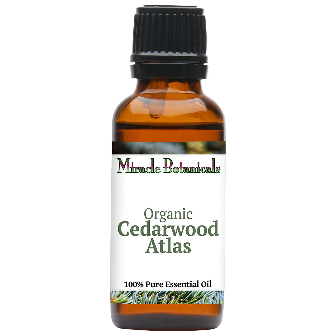 Cedarwood Atlas Essential Oil - Organic (Cedrus Atlantica)