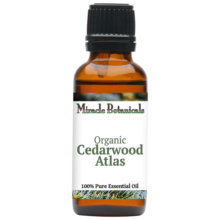 Cedarwood Atlas Essential Oil - Organic (Cedrus Atlantica)