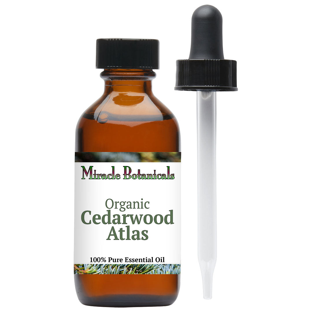 Cedarwood Atlas Essential Oil - Organic (Cedrus Atlantica)