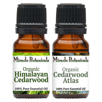 Cedarwood Essential Oil Set - Organic - Atlas and Himalayan Cedarwood