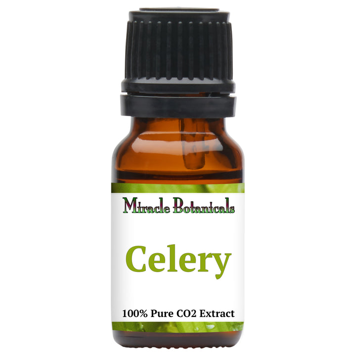 Celery Essential Oil - CO2 Extracted (Apium Graveolens)