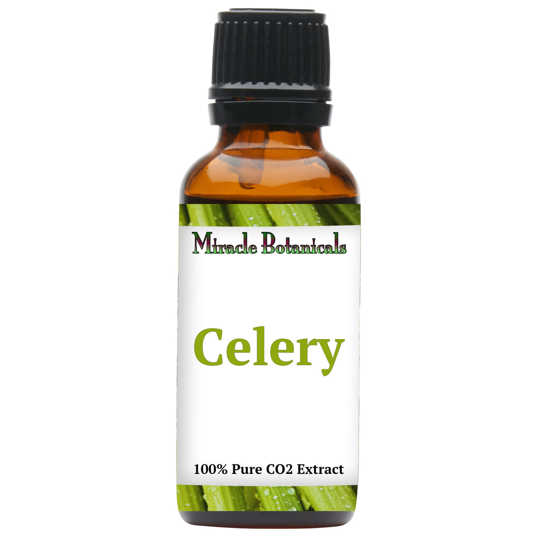 Celery Essential Oil - CO2 Extracted (Apium Graveolens)