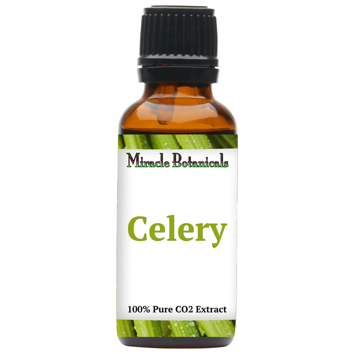 Celery Essential Oil - CO2 Extracted (Apium Graveolens)
