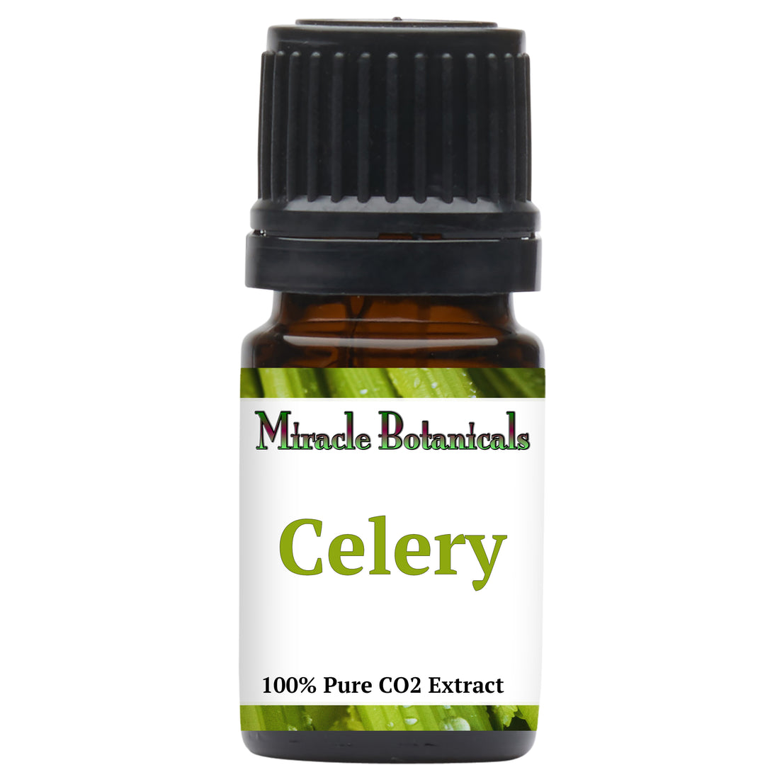 Celery Essential Oil - CO2 Extracted (Apium Graveolens)