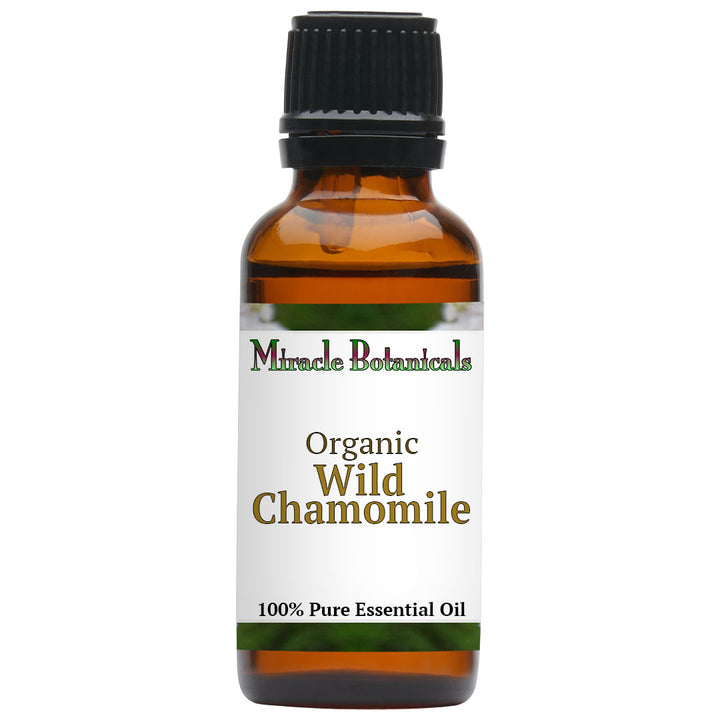 Chamomile (Wild) Essential Oil - Organic (Ormenis Mixta)