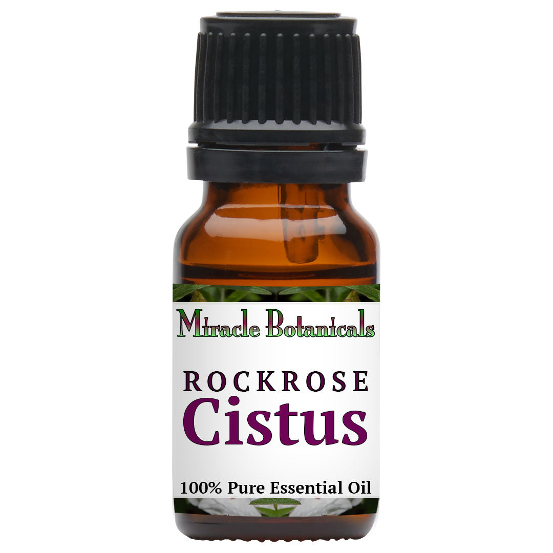 Cistus (Rockrose) Essential Oil (Cistus Ladaniferus)