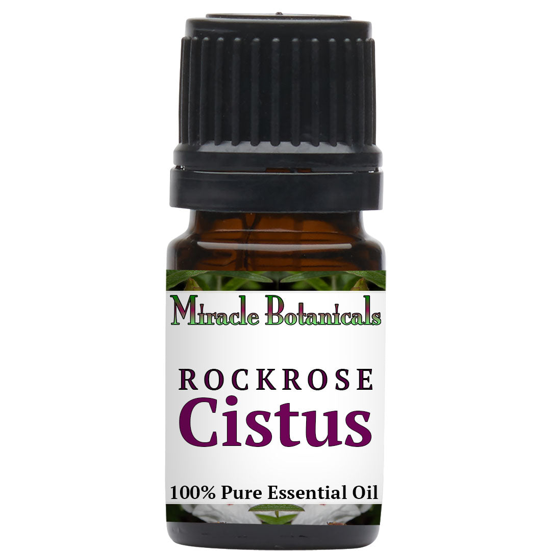 Cistus (Rockrose) Essential Oil (Cistus Ladaniferus)