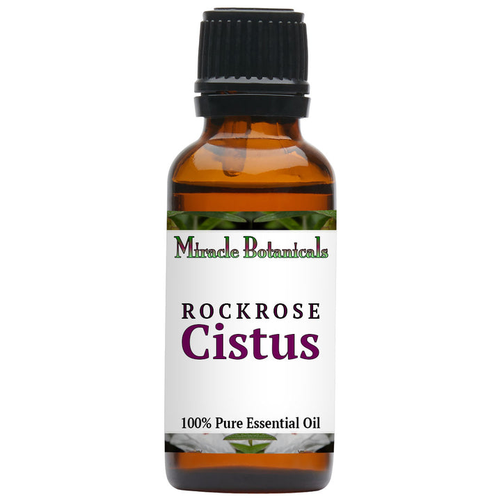 Cistus (Rockrose) Essential Oil (Cistus Ladaniferus)